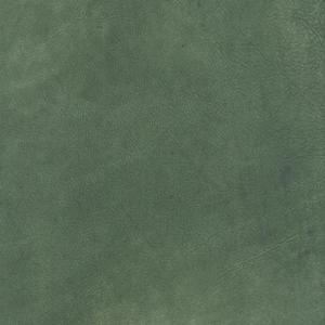 Africa forest green material 